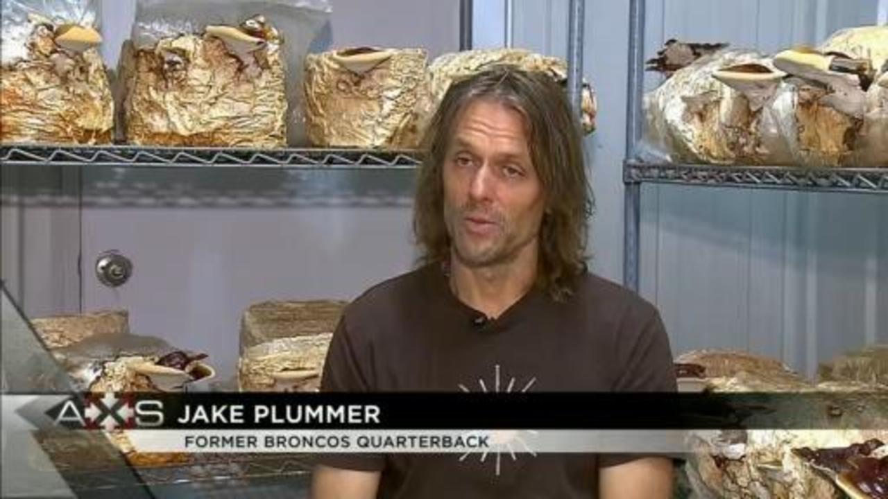 USA TODAY Sports on X: At Mycolove Farm, Jake Plummer does everything from  sweeping the floors to harvesting fully fruited mushrooms. For the former  Cardinals and Broncos QB, it's the perfect post-football