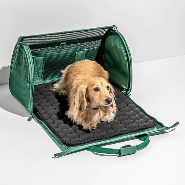 8 Best Dog Carriers for Travel and Everyday Use 2023