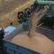 Russia, Ukraine sign deal to resume grain exports