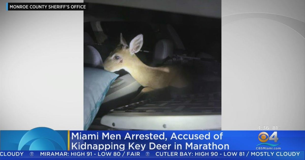 Miami men caught with endangered Key deer in their truck