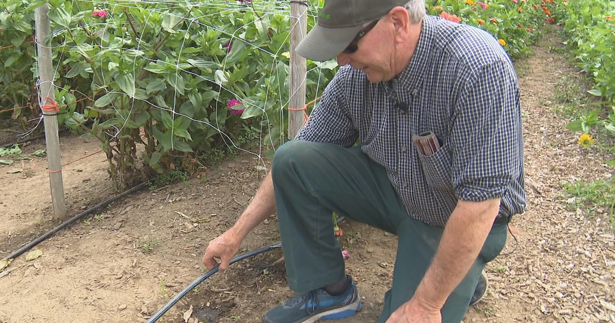 Massachusetts farmers "pushed to the limit" amid severe drought - Vimarsana News