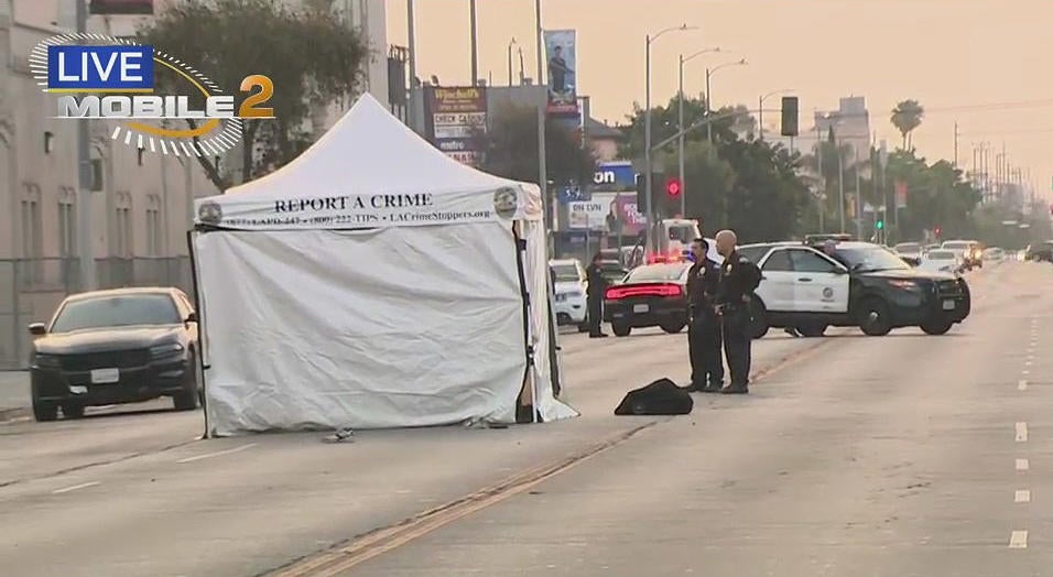 Hit-and-run crash kills pedestrian in South LA - CBS Los Angeles