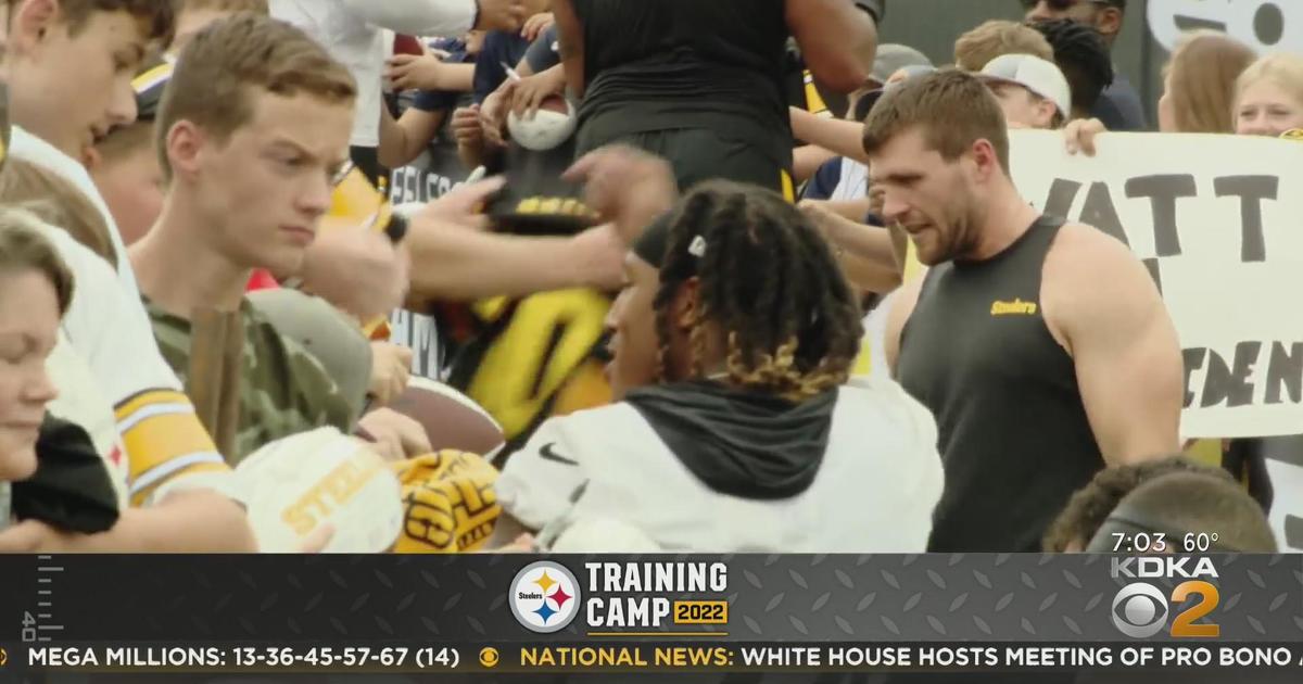 Steelers fans at training camp in Latrobe