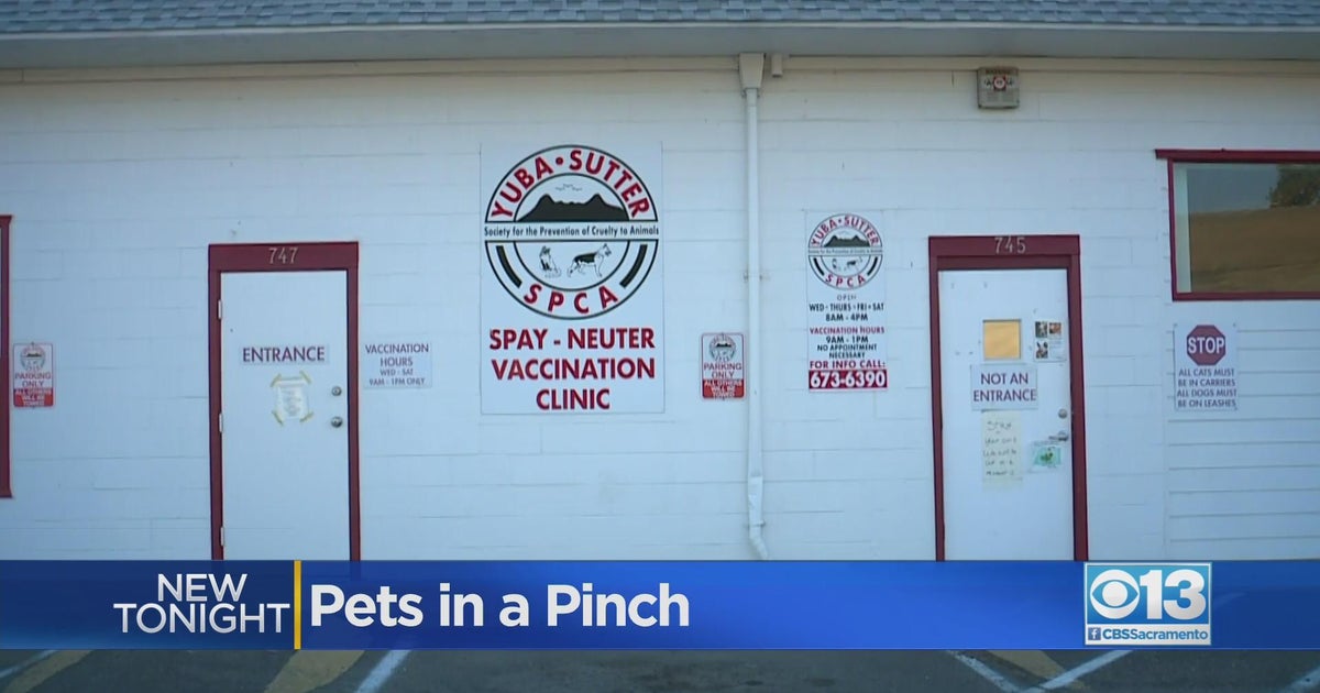 Yuba Sutter SPCA temporarily closes after veterinarian suddenly resigns