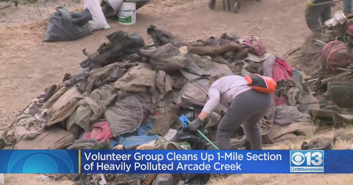 Volunteers clean up section of Arcade Creek