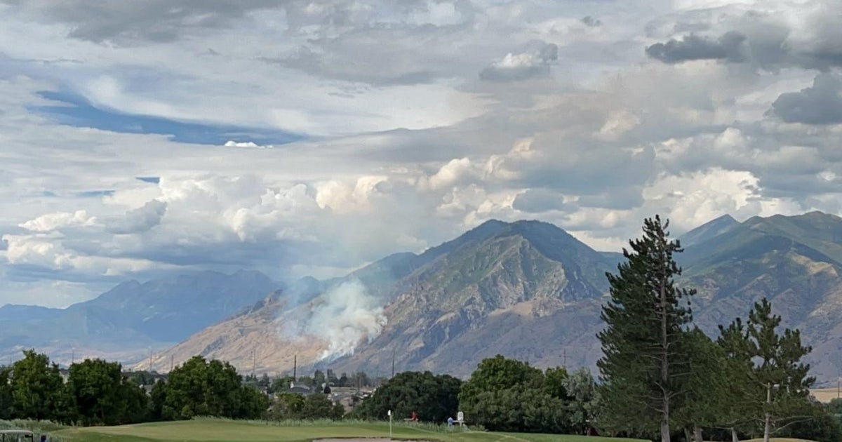 Man arrested for allegedly sparking wildfire while trying to burn a spider