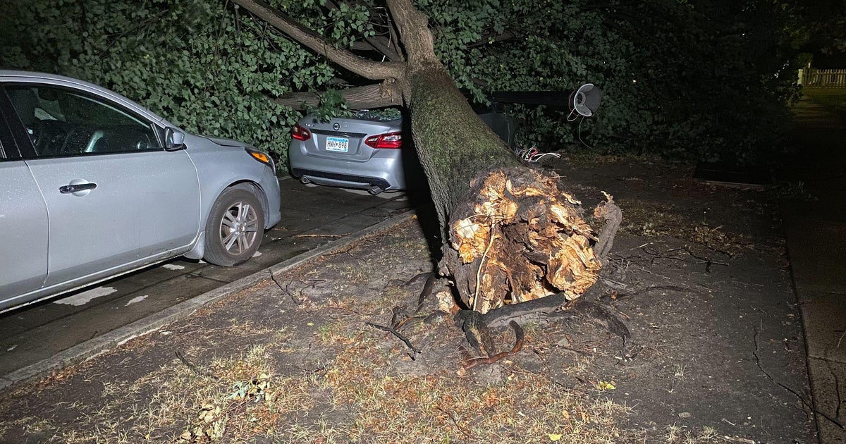 Twin Cities hit by overnight storms that bring downed trees and damage