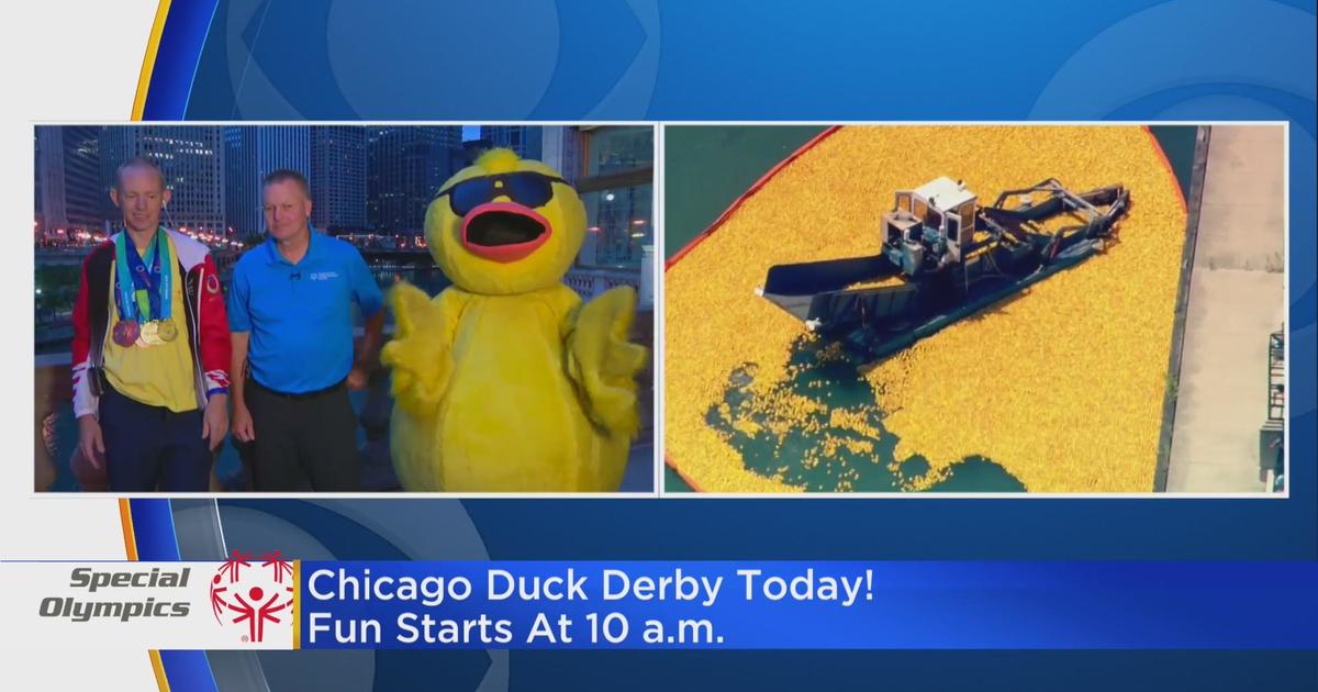 Ducky Derby for Special Olympics Illinois kicks off at 1 p.m. - CBS Chicago