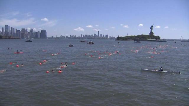 Dozens of people swim in the Hudson River, heading toward Liberty Island. 