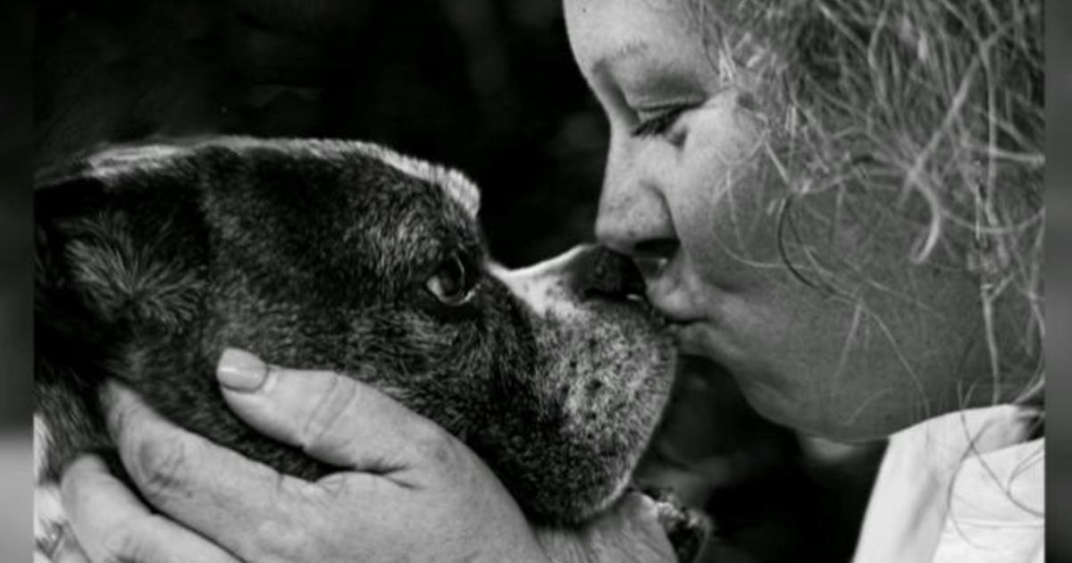 Photographer helps pet owners create touching, lasting memories