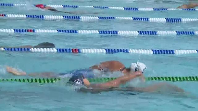 Photo of swimmers in an Elk Grove competition 