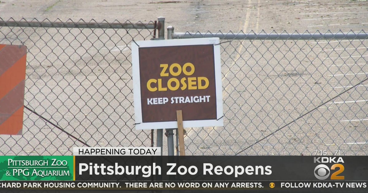 Pittsburgh Zoo reopens on Sunday CBS Pittsburgh