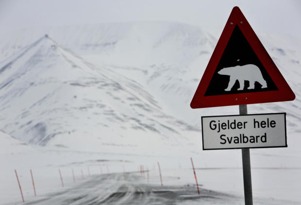 A road sign sporting a polar bear notifi 