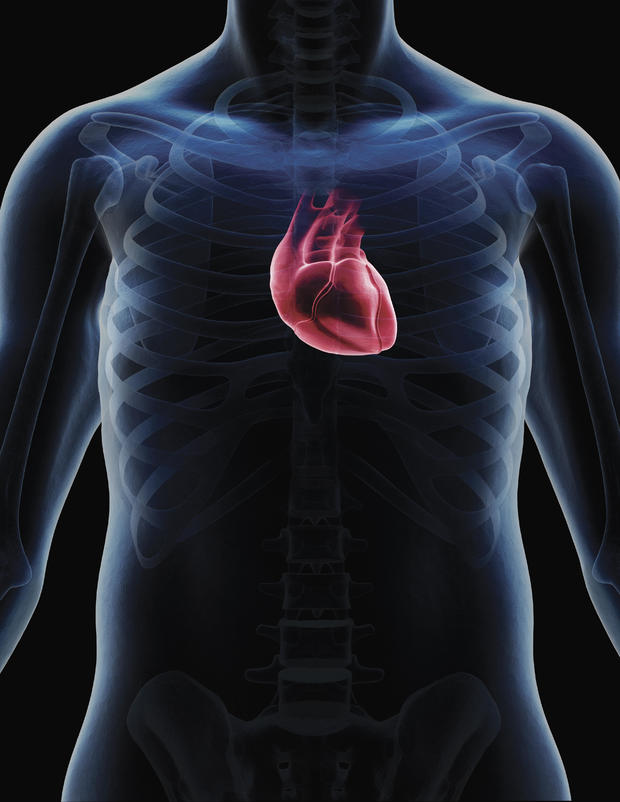 Human heart digital composite 