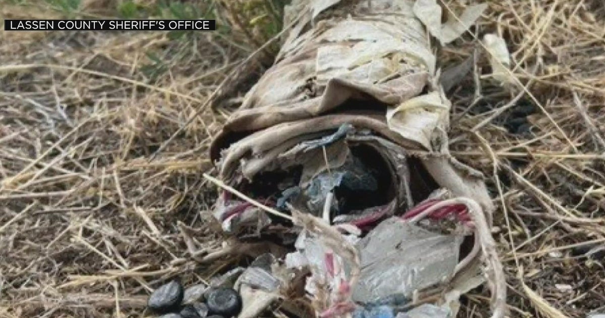 Caltrans crew discovered homemade bomb along Highway 395 in Susanville