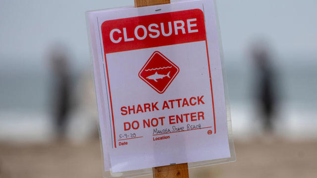 Fatal Shark attack Manresa State Beach 