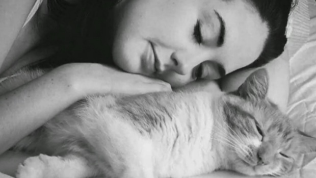 Photographer takes free photos of terminally ill pets: "A capture of my love" 