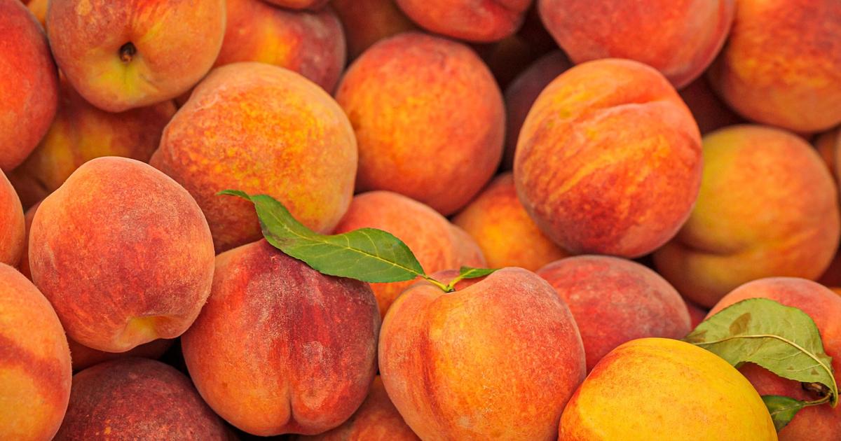 Georgia, the peach point out, is out of peaches. Here is why, and how locals are coping