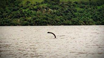 Scientists make discovery on dinosaur believed to be related to the Loch Ness Monster 