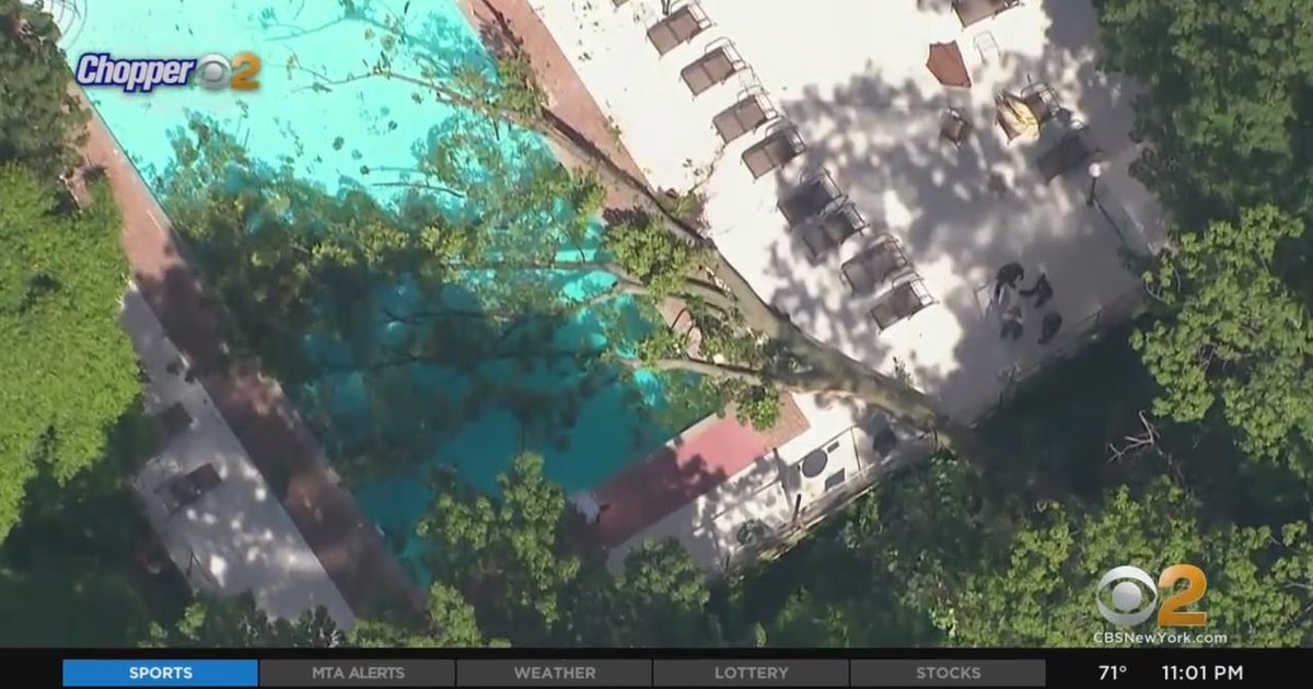 Woman killed, another injured after tree falls on pool in Bronx - CBS ...