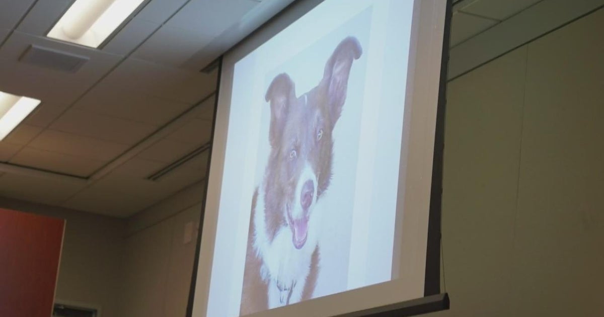 Kristin Smart murder trial jurors hear from human remains-detection dog handler