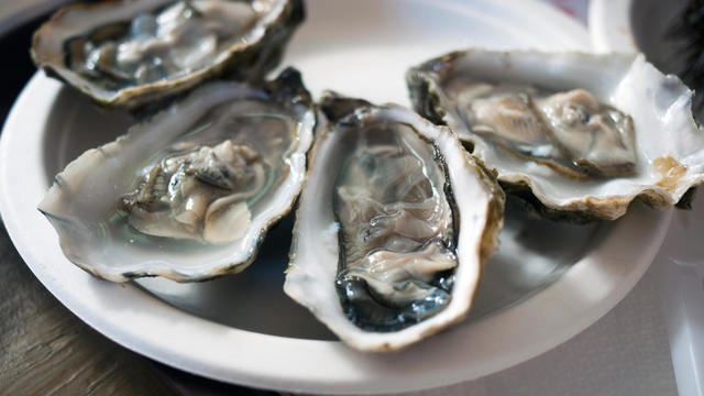Oysters served on a plate at restaurant 