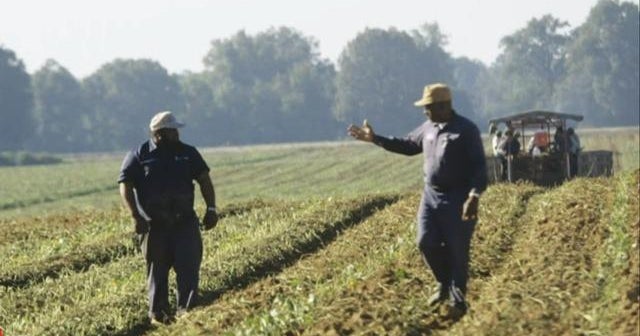 Black farmers face even more challenges with new Inflation Reduction