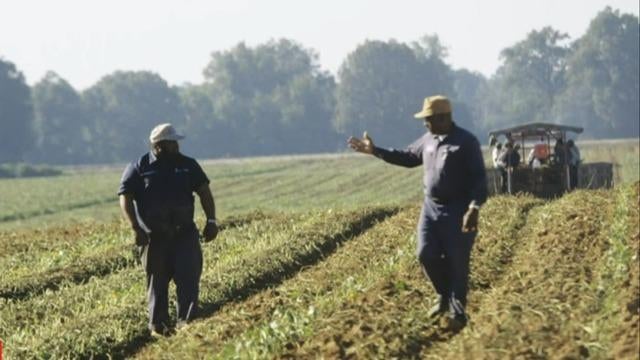 cbsn-fusion-black-farmers-face-even-more-challenges-with-new-inflation-reduction-act-thumbnail-1210838-640x360.jpg 