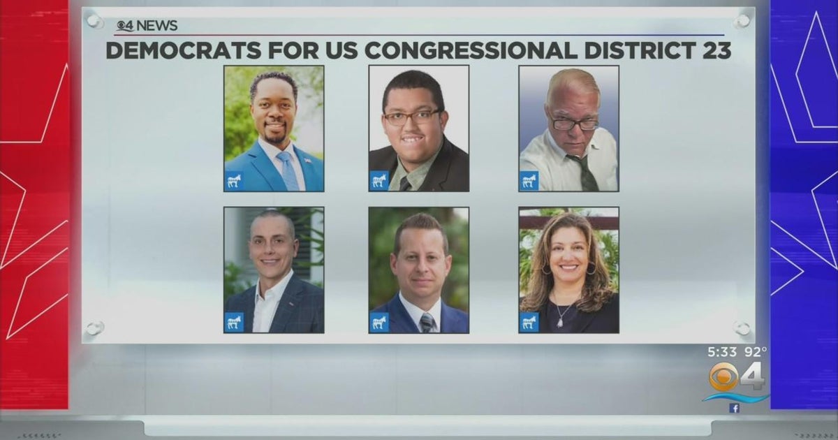A look at the Democratic candidates in District 23 race
