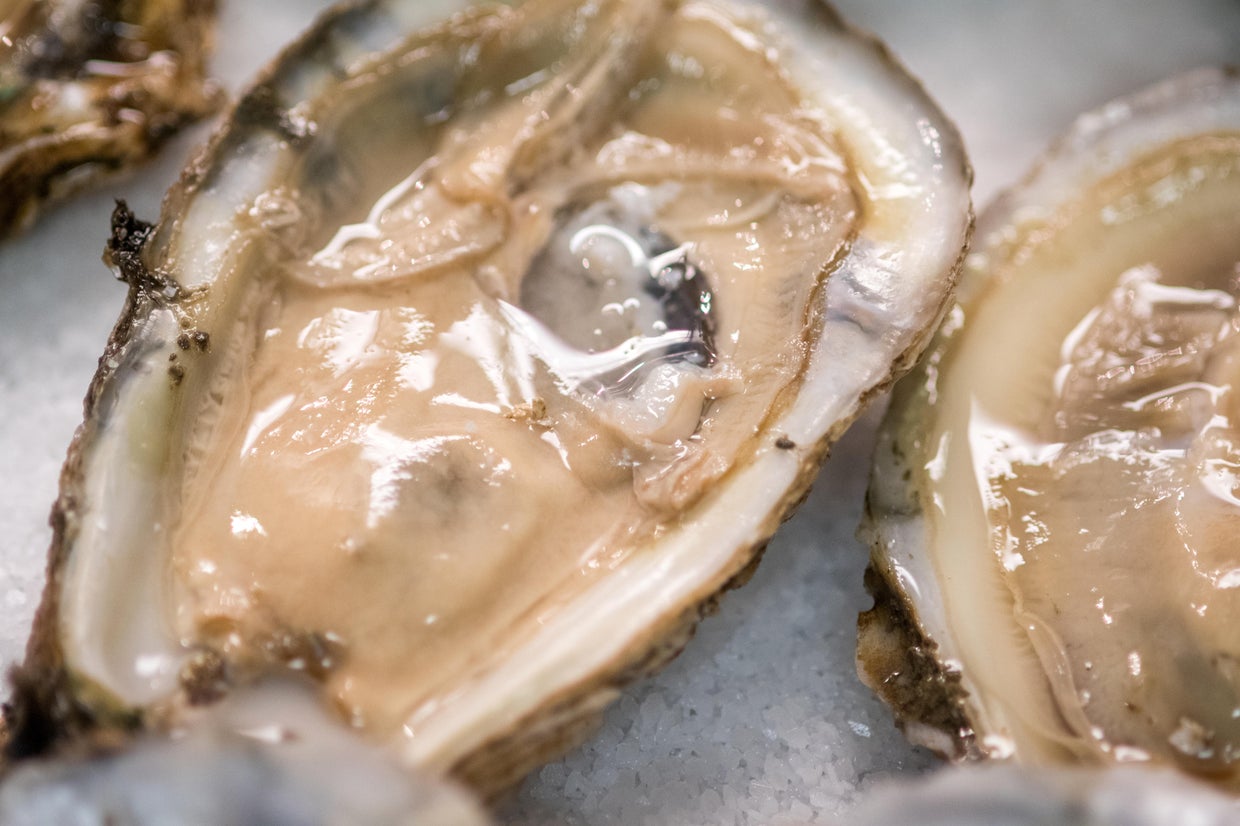 Oysters recalled after norovirus outbreak sickens at least 211 people
