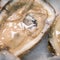 Man dies after eating raw oysters from Missouri seafood stand