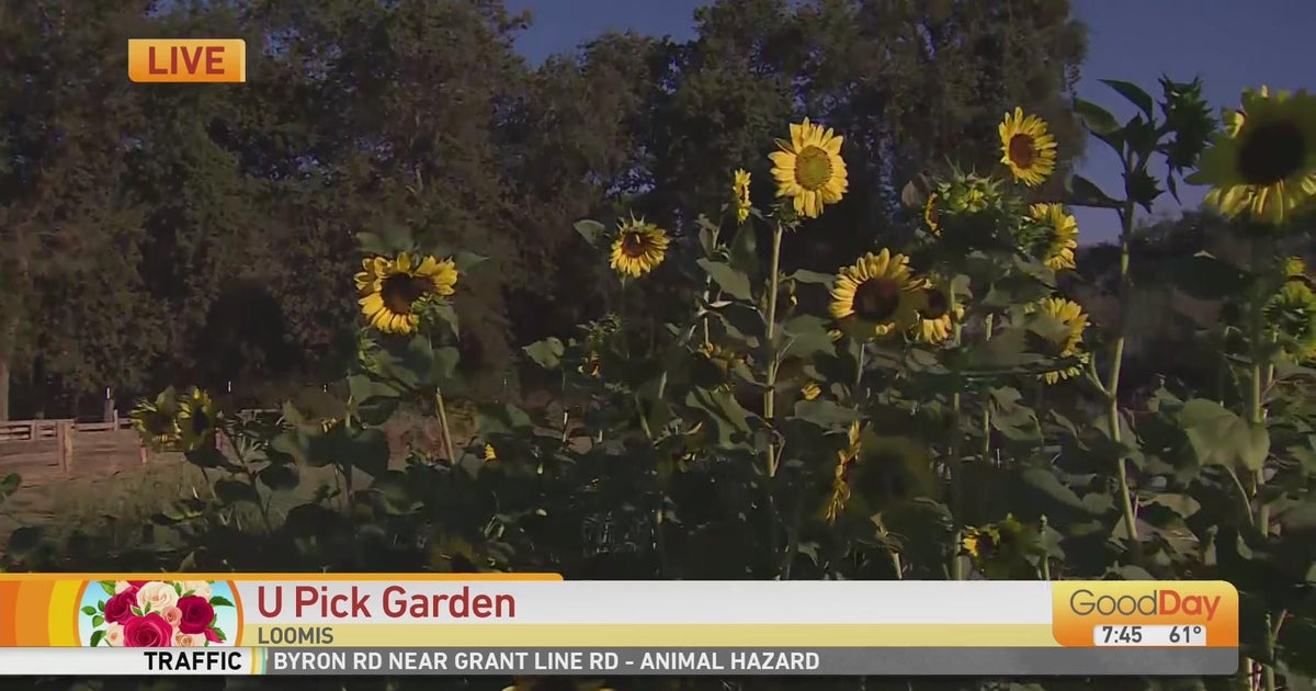 U Pick Garden Good Day Sacramento