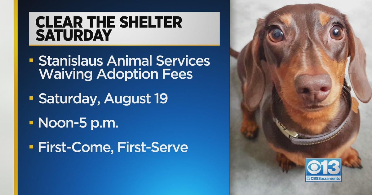 Stanislaus Animal Services is waiving adoption fees for Aug. 19 only