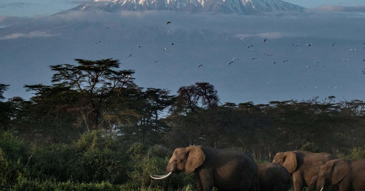 Mount Kilimanjaro, Africa's highest peak, now has Wi-Fi