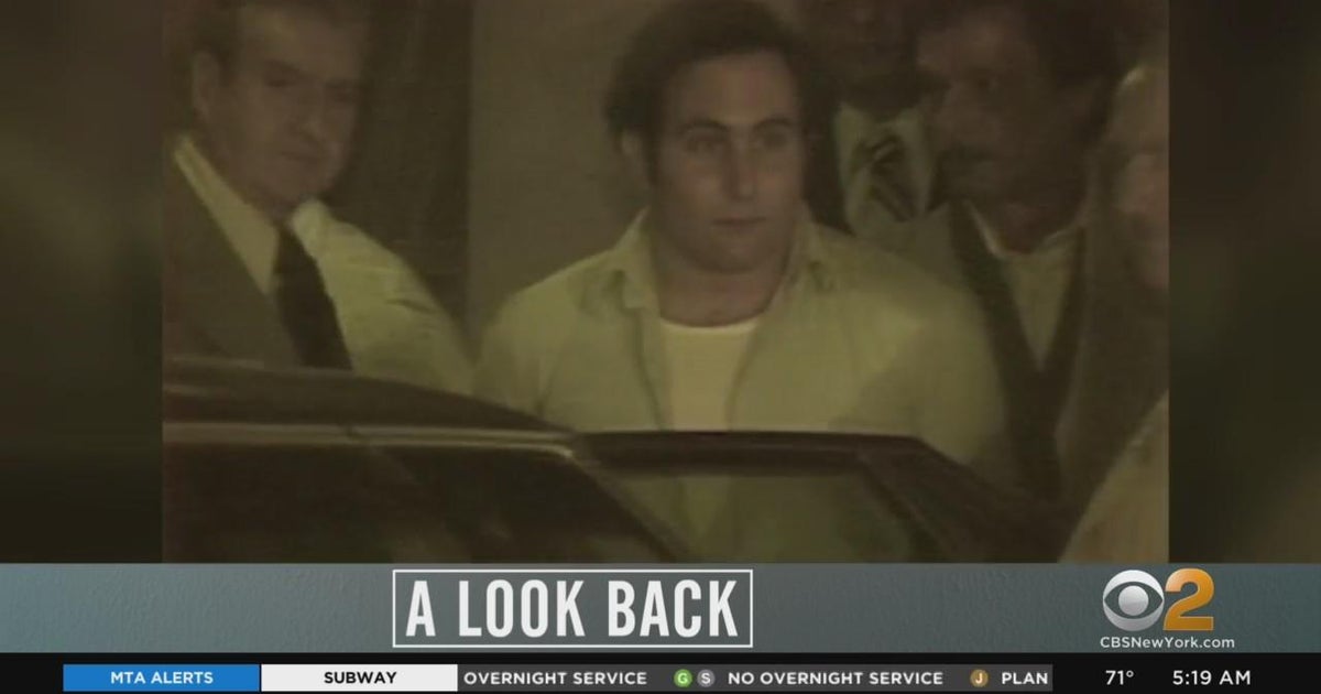 what did the son of sam killer do
