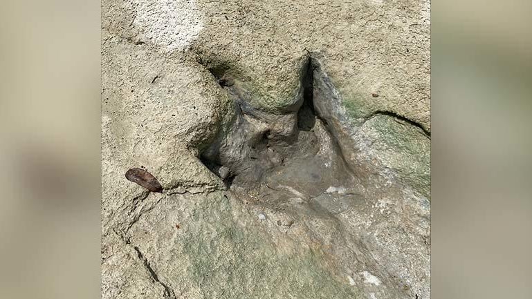 Drought uncovers new dinosaur tracks in Glen Rose - CBS Texas