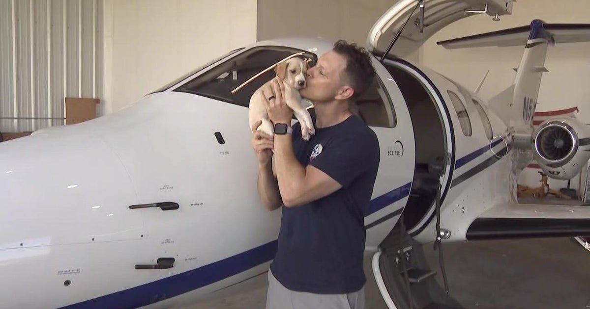 Pilots to the Rescue airlifts animals facing certain death to a second ...