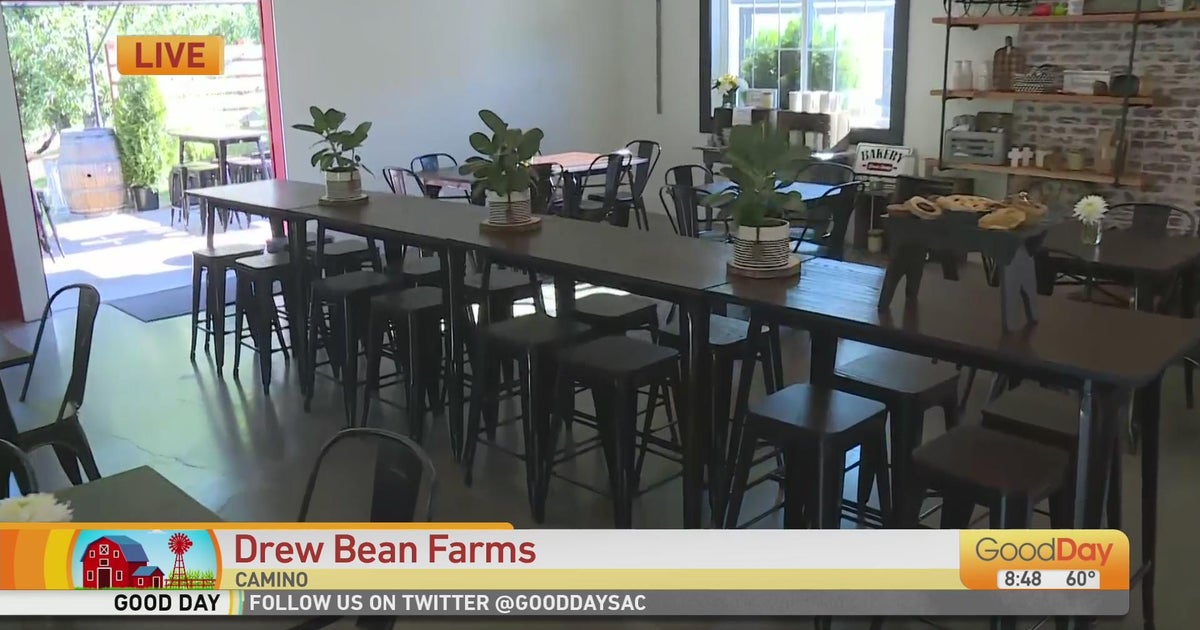 Drew Bean Farms Camino Good Day Sacramento