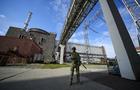 Russia Ukraine Nuclear Plant Fears 