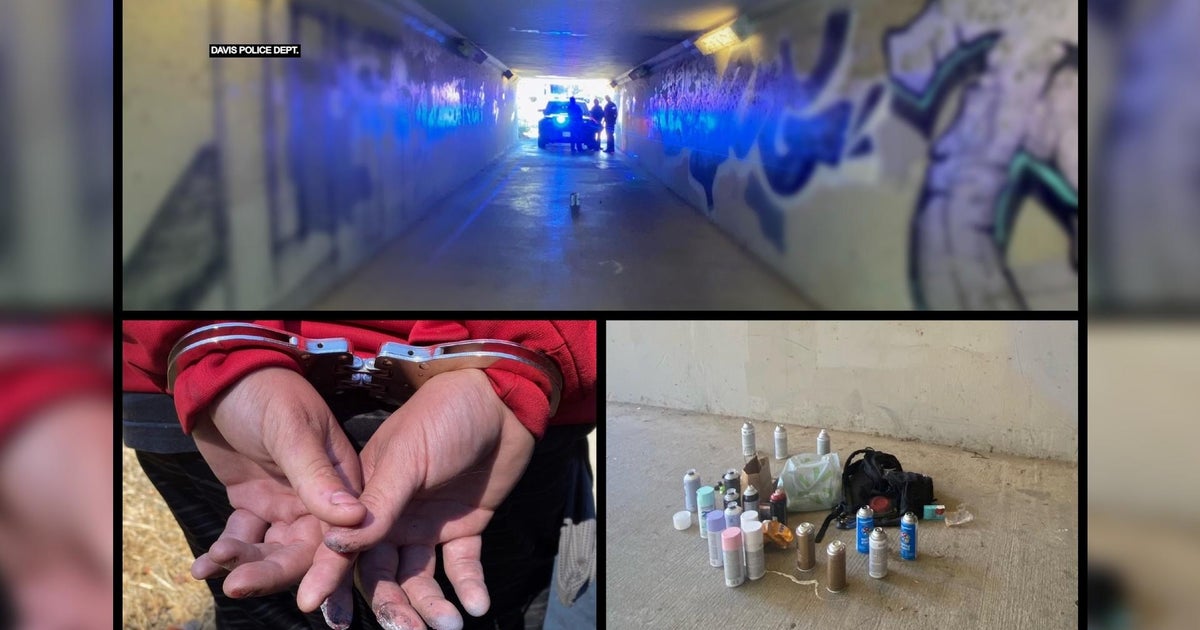 Police catch suspect spray painting Davis bike tunnel