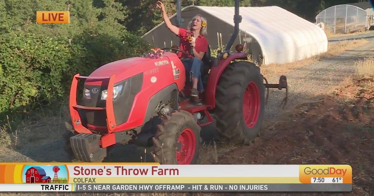 Stone's Throw Farm - Good Day Sacramento