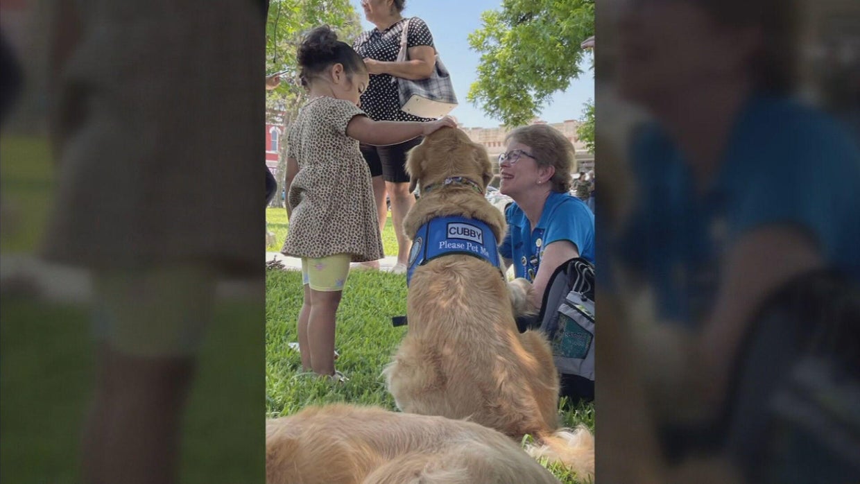 Northern Colorado comfort dogs to welcome Uvalde students back to ...