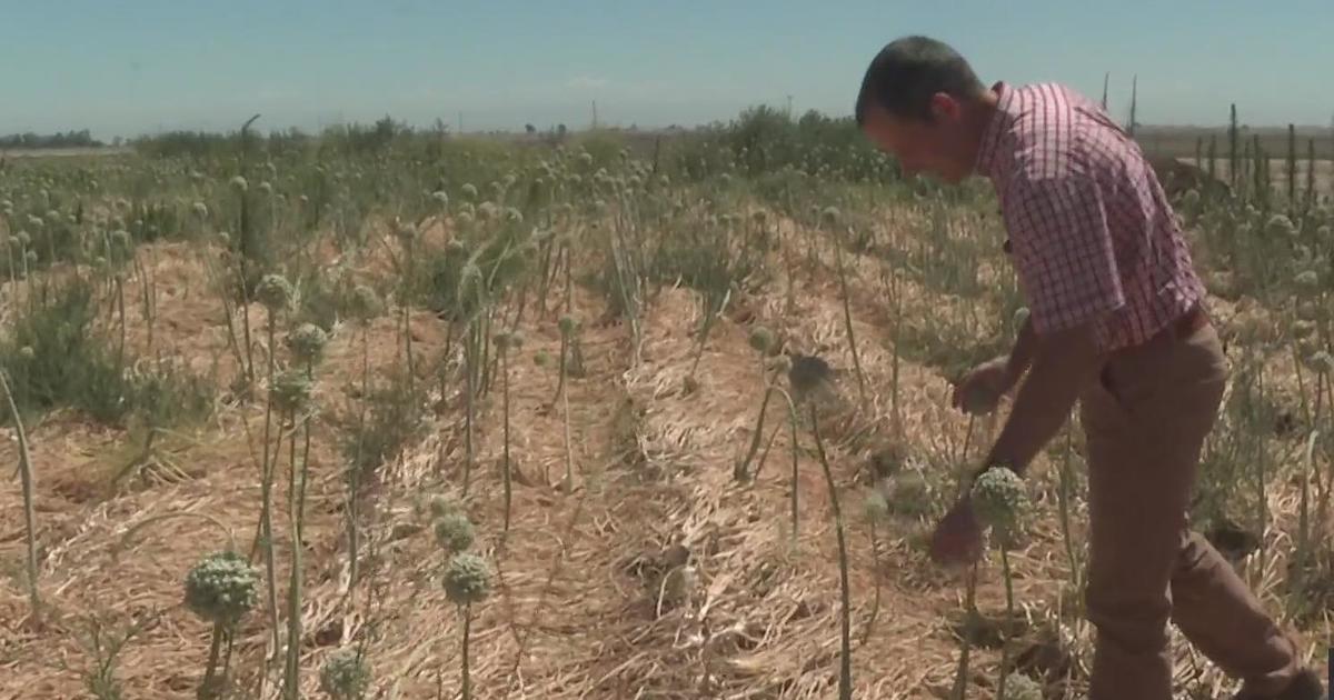 “It’s a scary time;”  Lifelong farmer in Central Valley threatened by drought