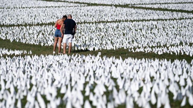 Art installation of white flags in Washington for the staggering loss of Covid-19 