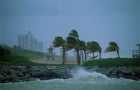 Hurricane Along Coastline 