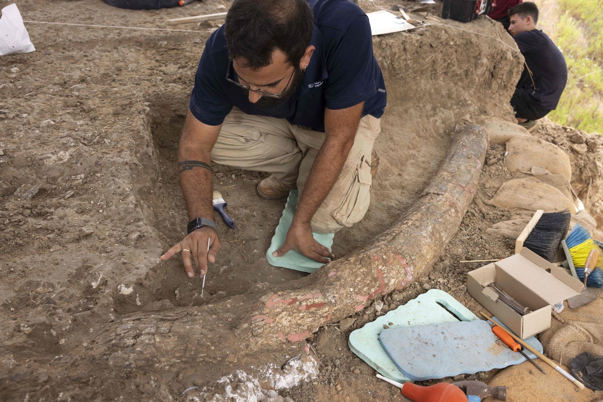 ISRAEL-ARCHAEOLOGY 