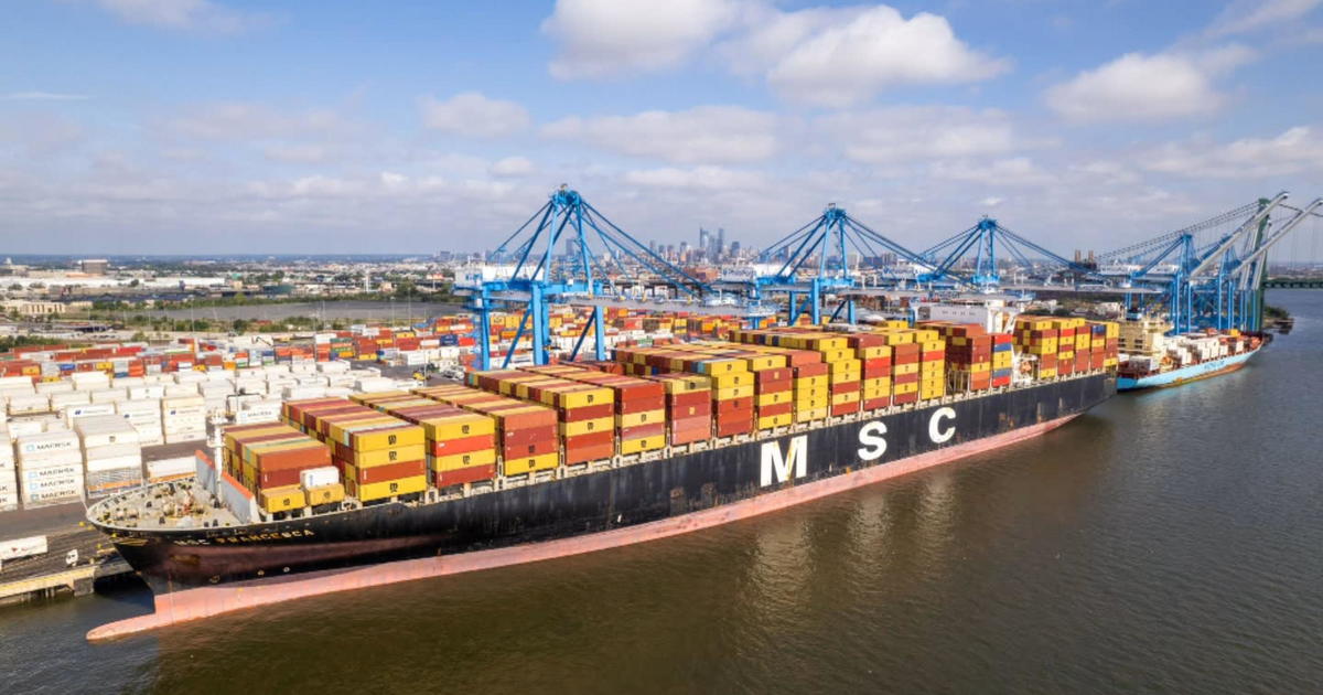 MSC Francesca sets record for longest container vessel at Port of ...