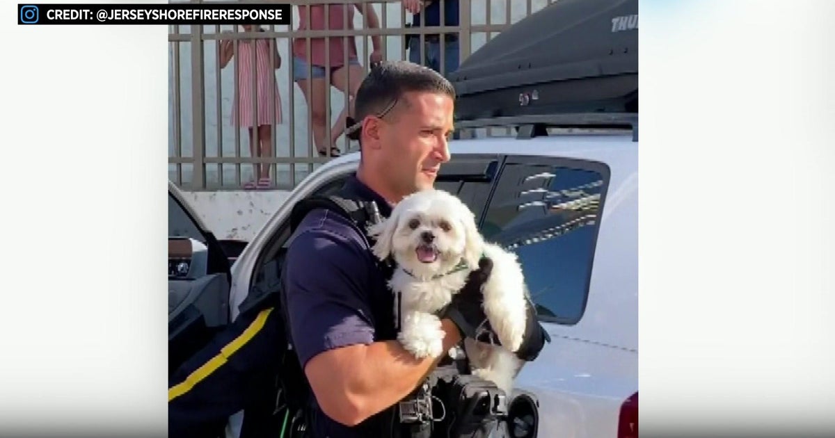 See it Police rescue dog from hot car in Seaside Heights CBS New York