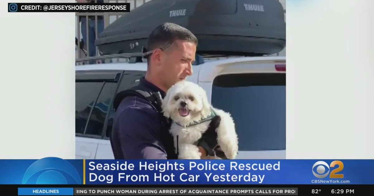 Seaside Heights police rescue dog from hot car - CBS New York