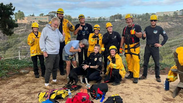 Deaf dog rescued in San Diego after falling off a cliff. 